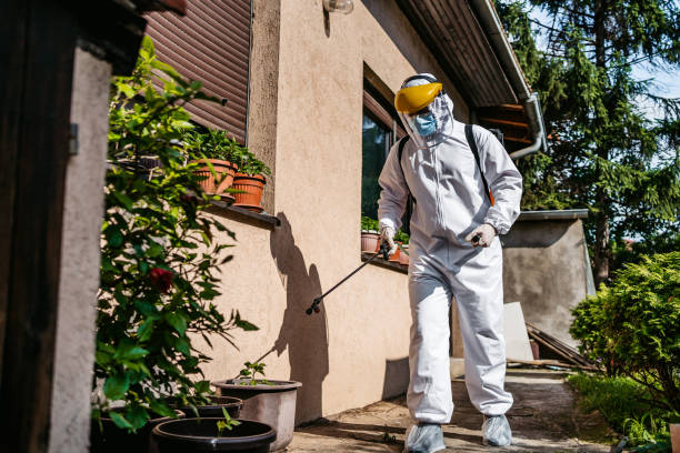 Best Wasp Removal Services  in Breckinridge Center, KY