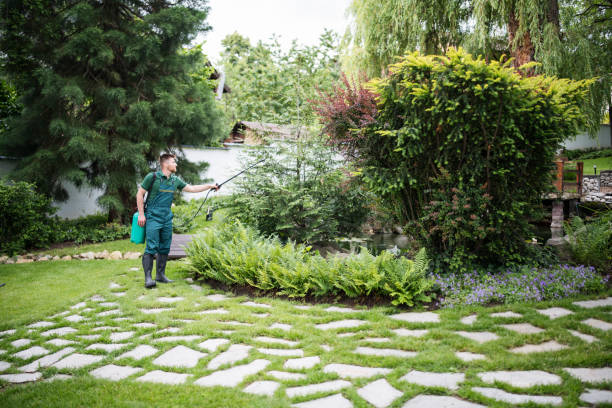 Best Best Pest Control Companies  in Breckinridge Center, KY