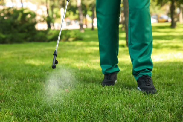 Wasp Removal Services in Breckinridge Center, KY