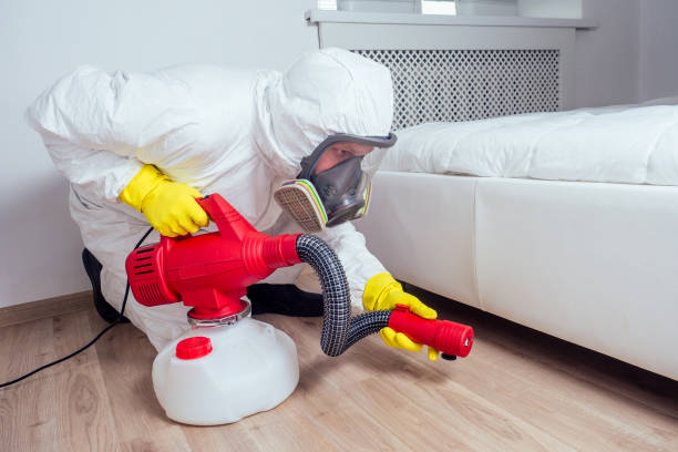 Best Ant Control Services  in Breckinridge Center, KY