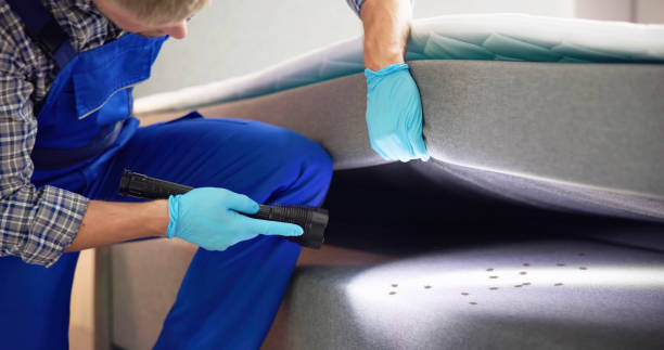 Best Best Pest Control Companies  in Breckinridge Center, KY