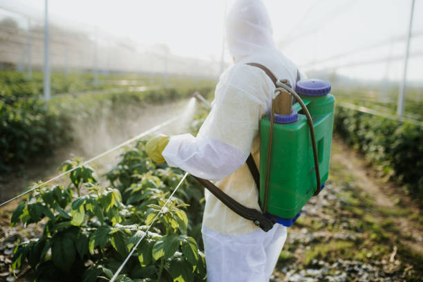 Best Emergency Pest Control  in Breckinridge Center, KY
